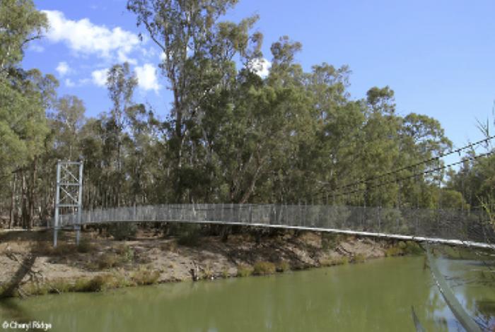 Northbank Bridge Concept