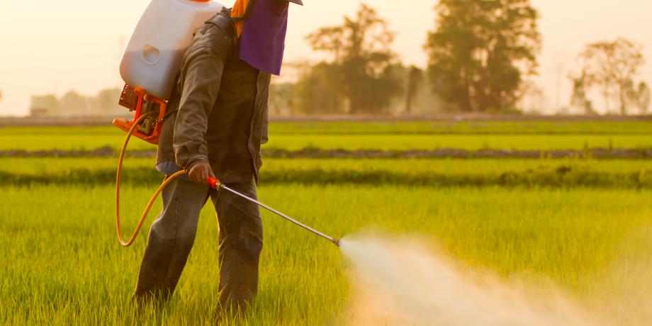 Pesticide Spraying Notice in Narrandera