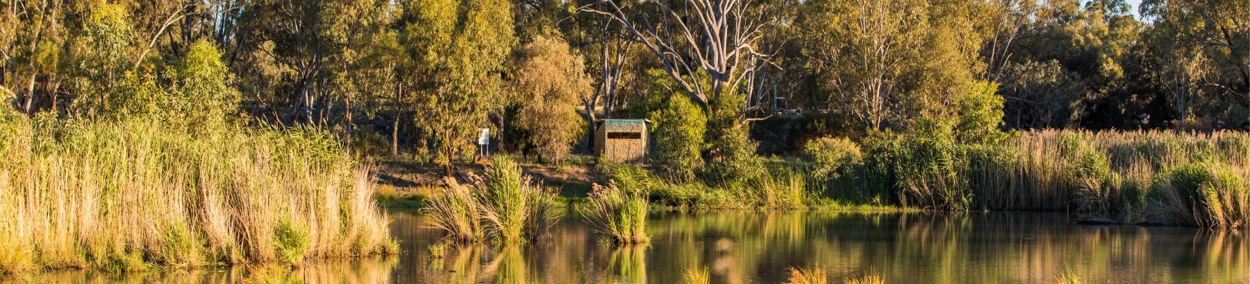 Narrandera Wetlands