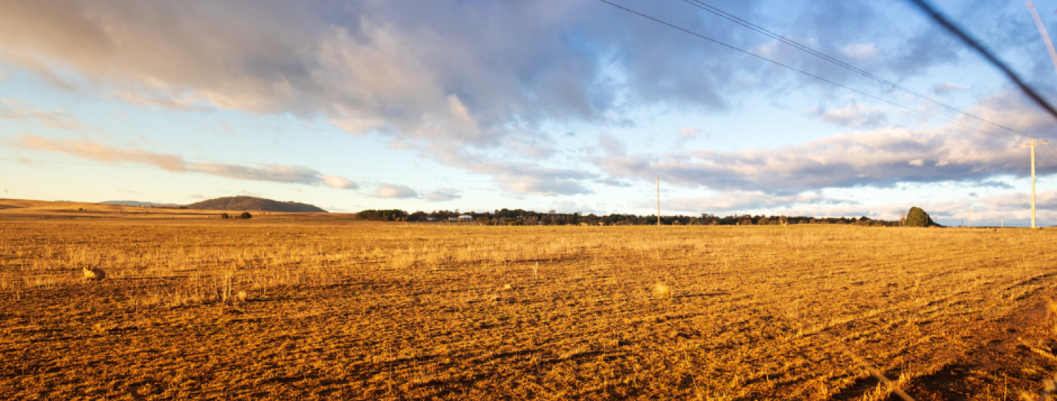 Western Riverina Consortium Regional Drought Resilience Plan